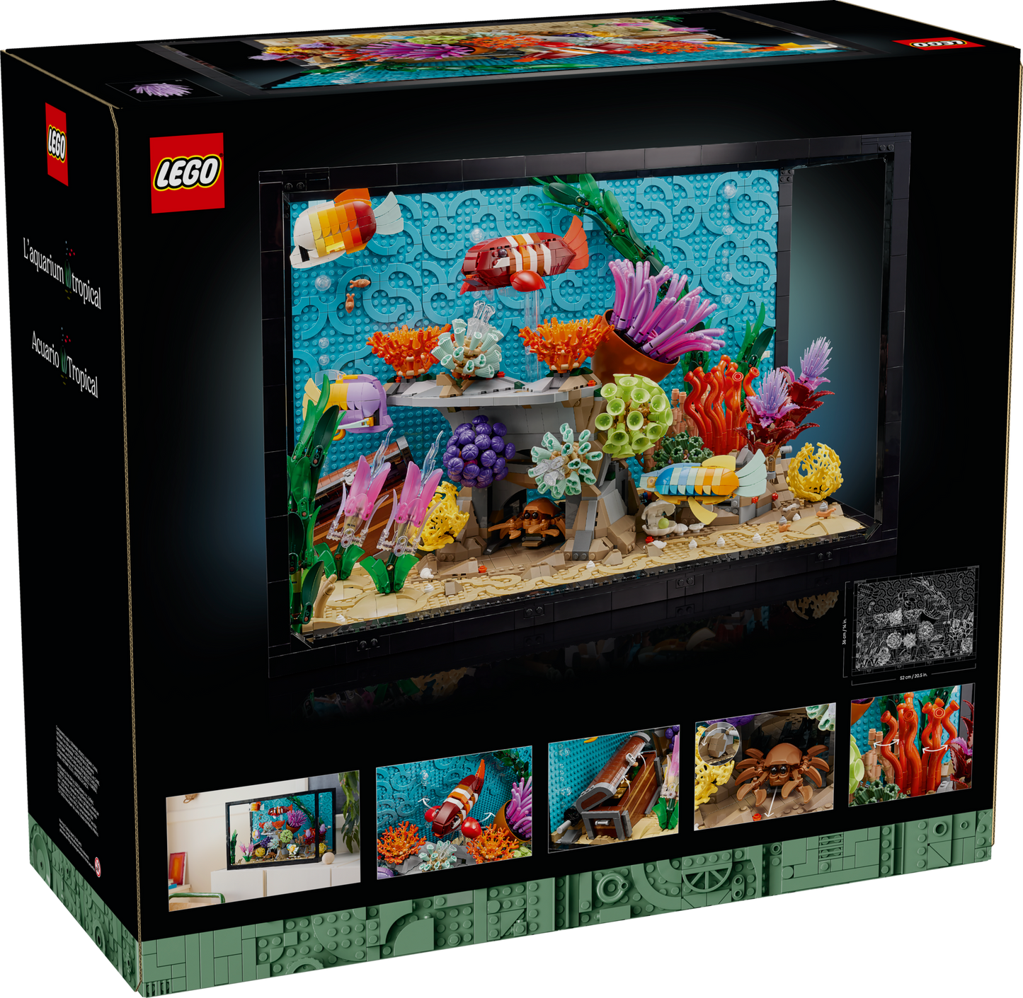 Tropical Aquarium