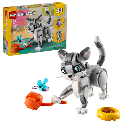 Playful Cat