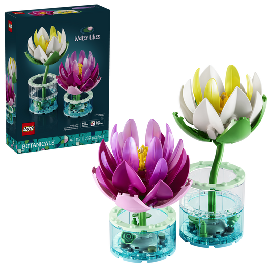 Water Lilies