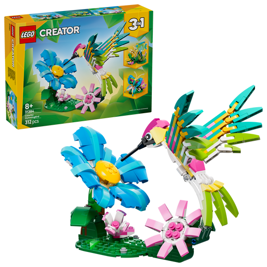 Wild Animals: Colorful Hummingbird