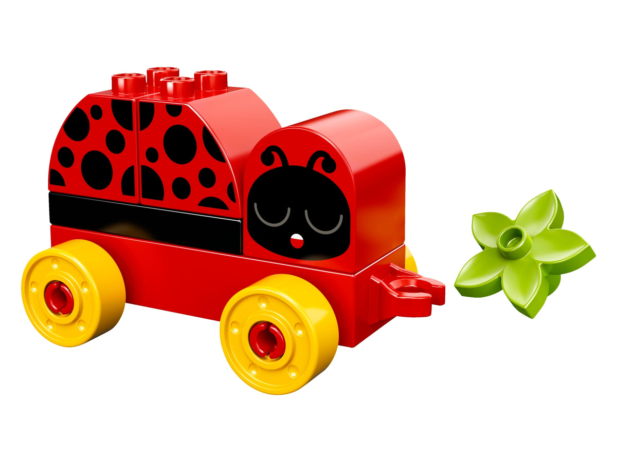 My First Lady Bug
