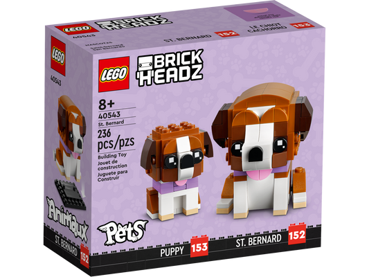 LEGO® set 40543