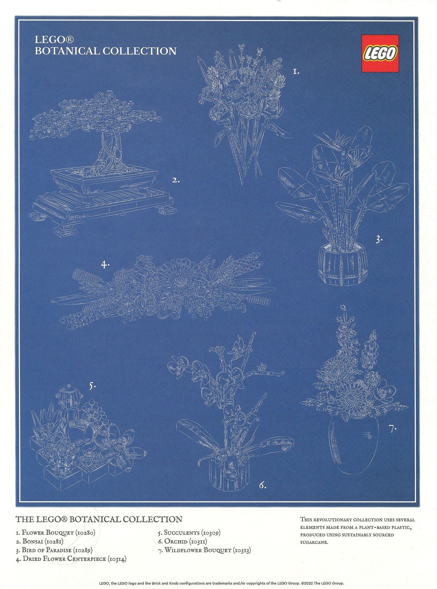 Botanical Collection Art Print - Blueprint