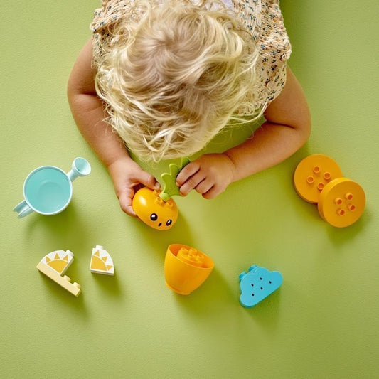 Fruit & Vegetables Gift Pack