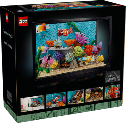 Tropical Aquarium
