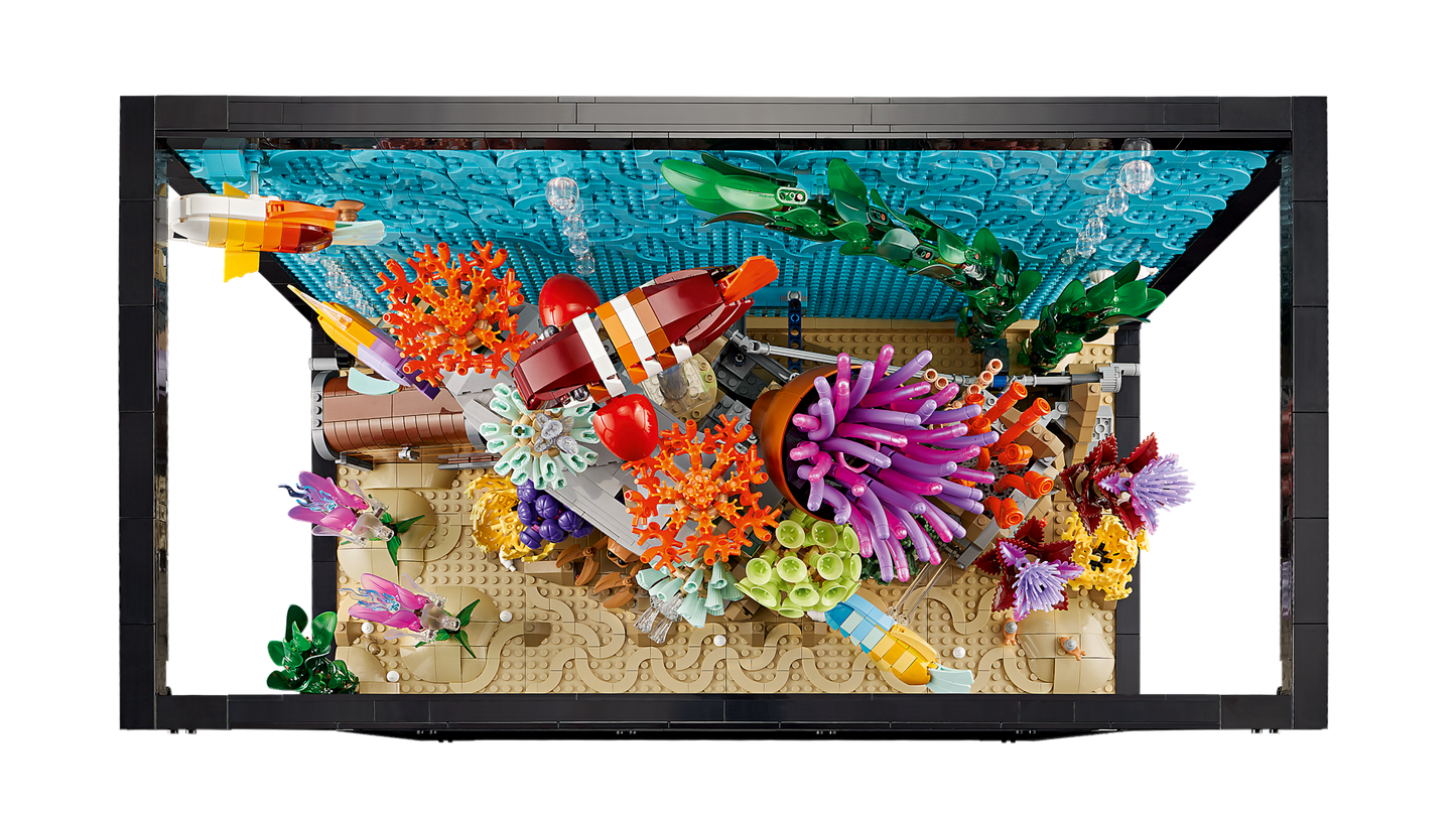 Tropical Aquarium