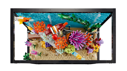 Tropical Aquarium