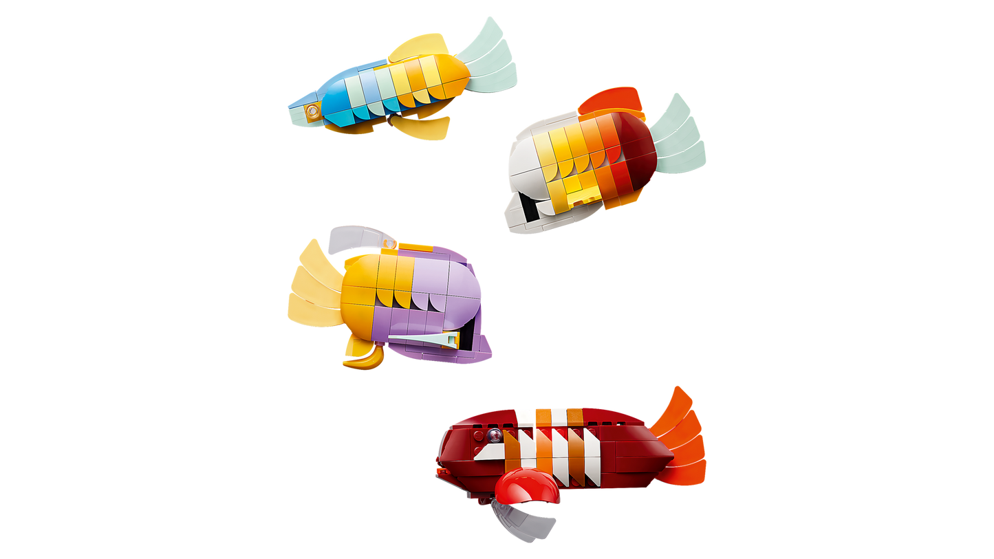 Tropical Aquarium