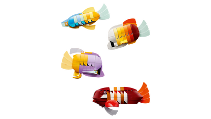 Tropical Aquarium