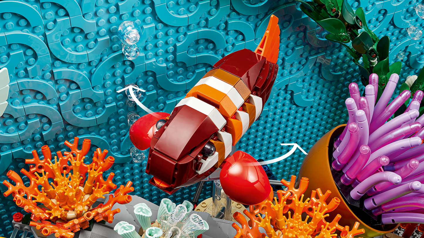 Tropical Aquarium