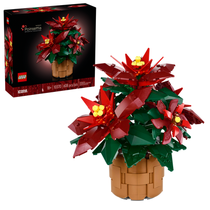 LEGO® set 10370 product image