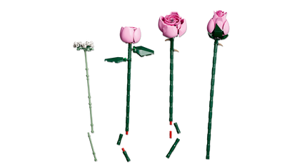 Bouquet of Pink Roses