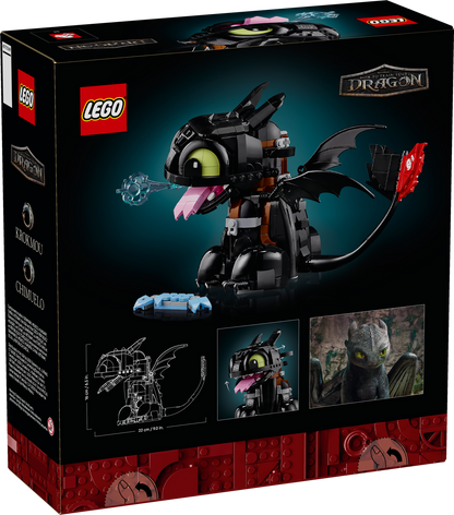 How to Train Your Dragon: Toothless