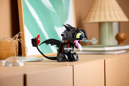 How to Train Your Dragon: Toothless