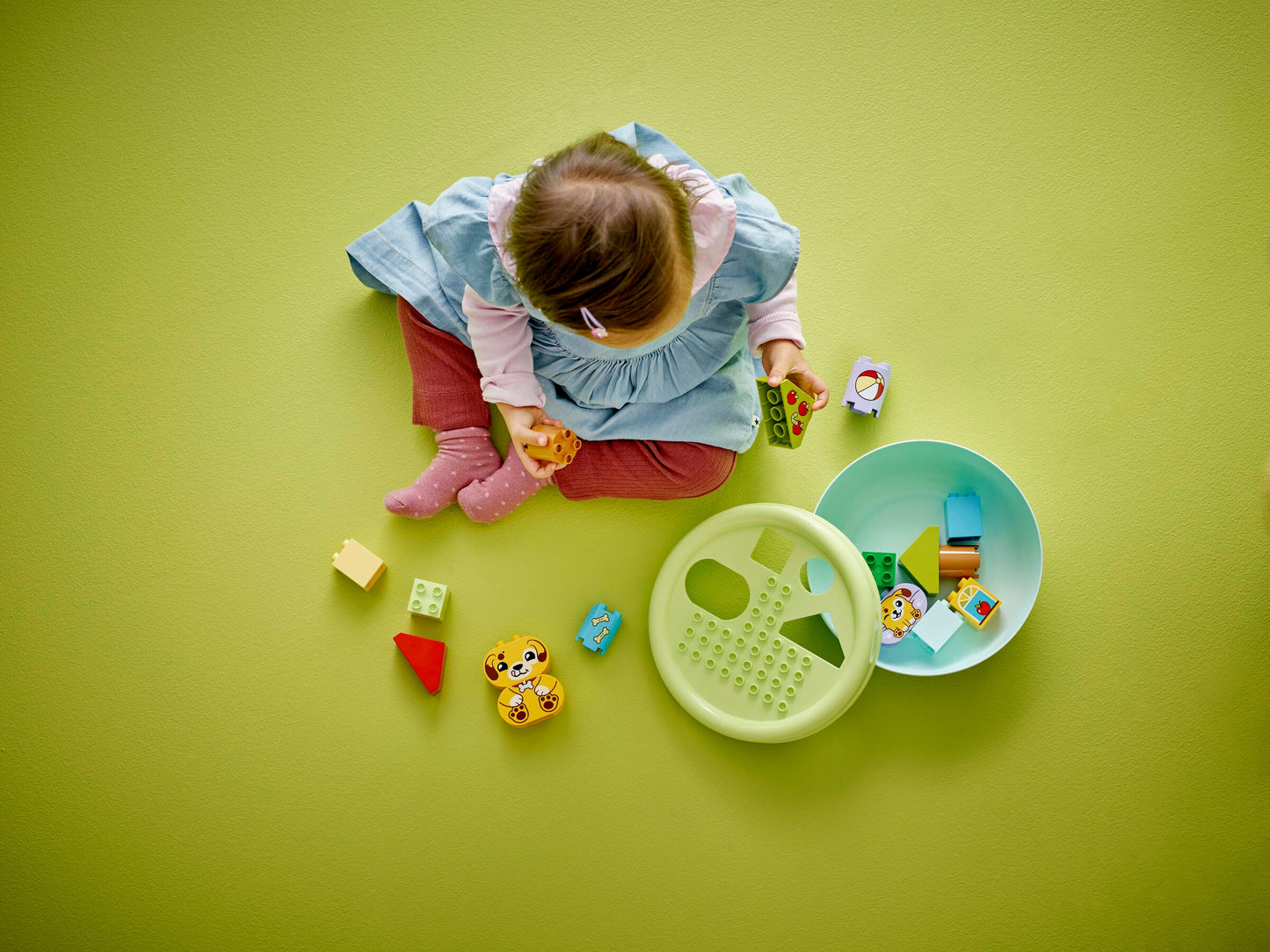 Shape Sorter: Puppy House
