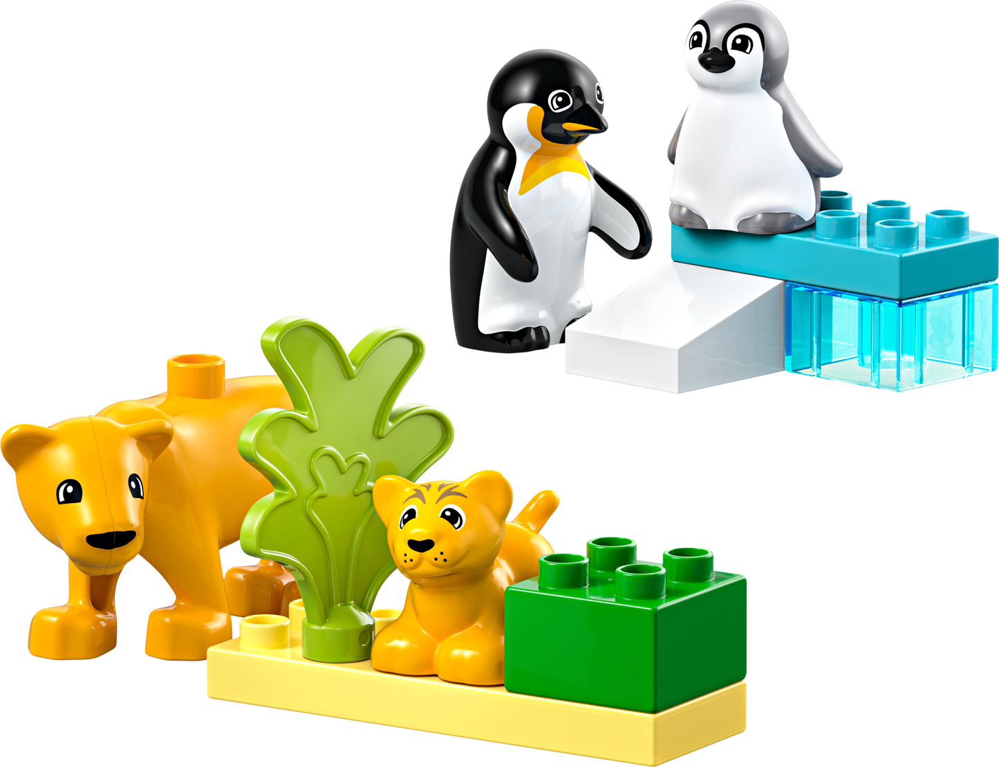 Wild Animal Families: Penguins & Lions