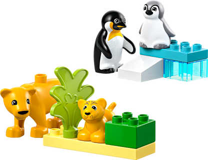 Wild Animal Families: Penguins & Lions