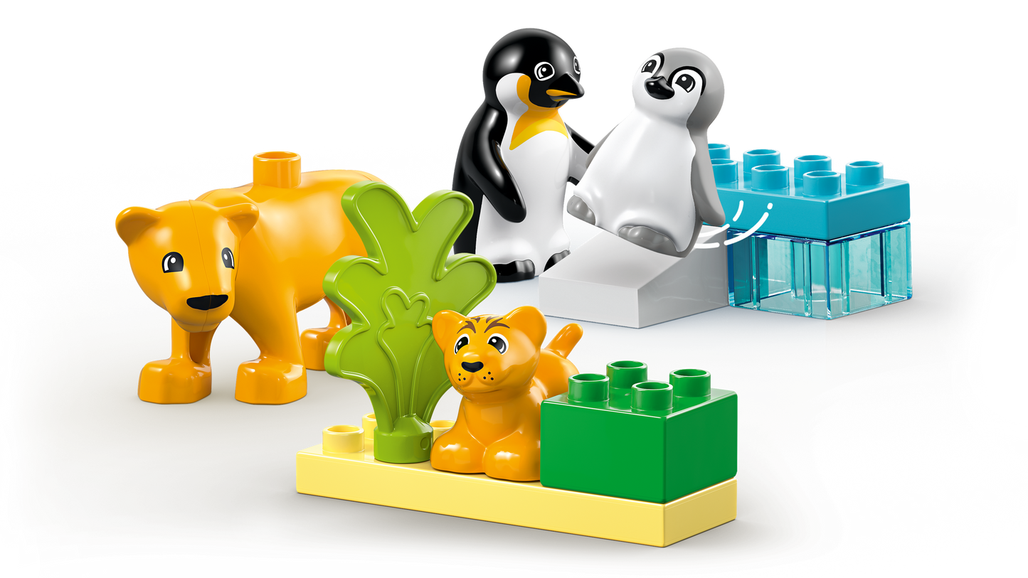 Wild Animal Families: Penguins & Lions