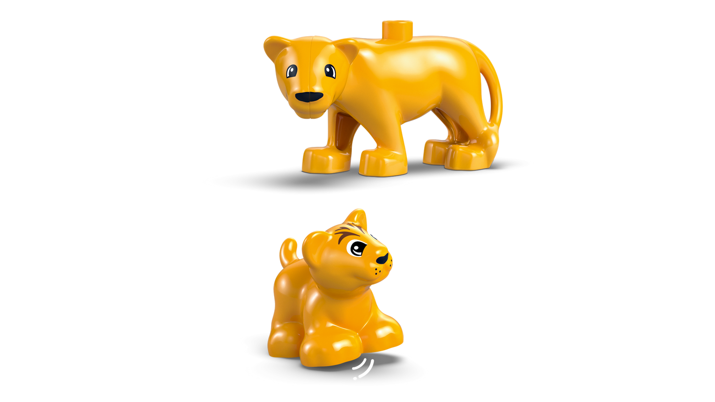 Wild Animal Families: Penguins & Lions
