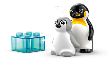 Wild Animal Families: Penguins & Lions