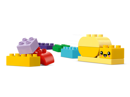 Creative Garden & Flowers