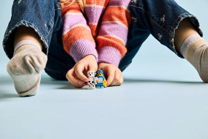 Playground Fun with Bluey and Chloe