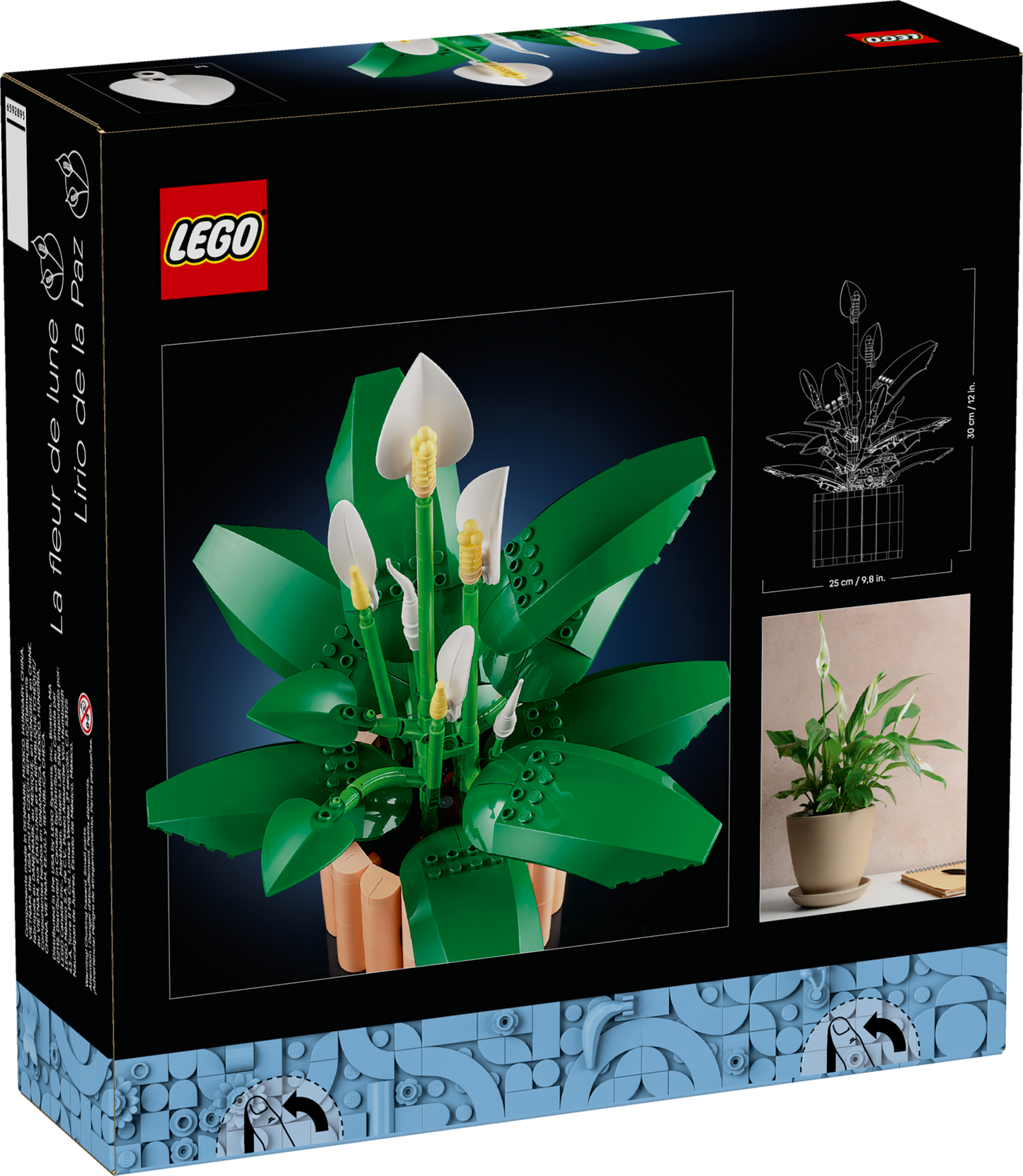 Peace Lily