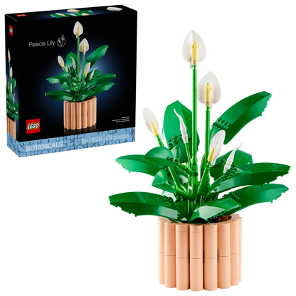 Peace Lily