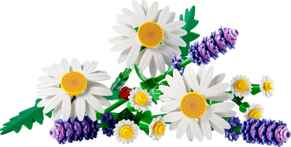 Daisies