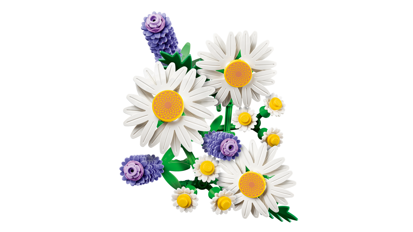 Daisies