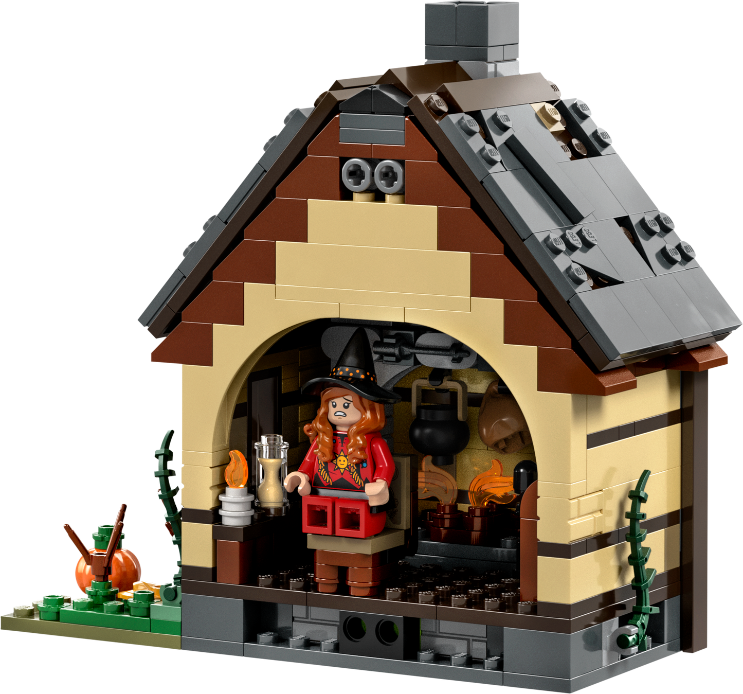 LEGO® set 21341