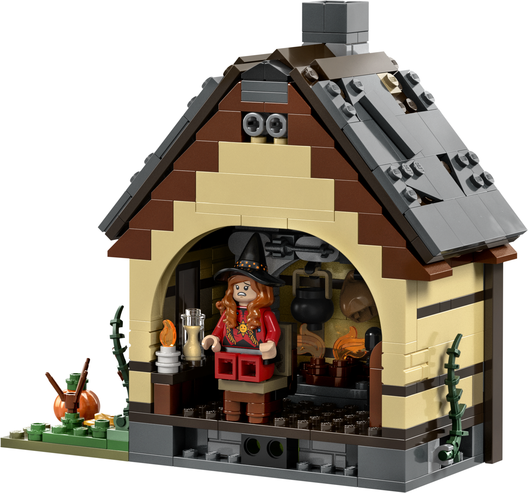 LEGO® set 21341