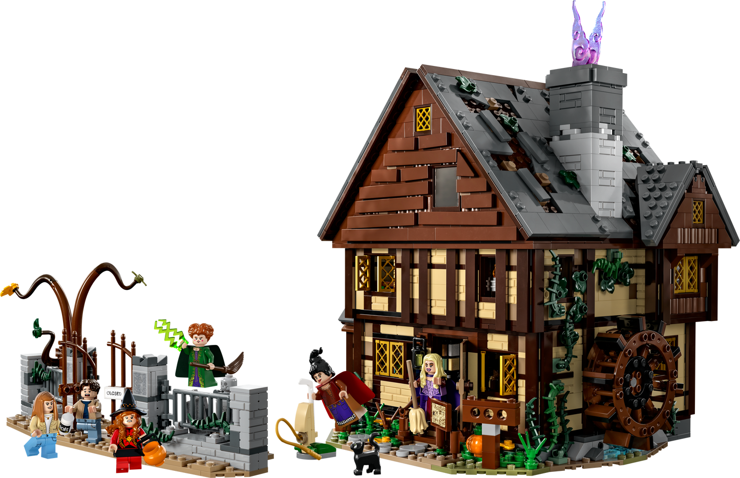 LEGO® set 21341 product image