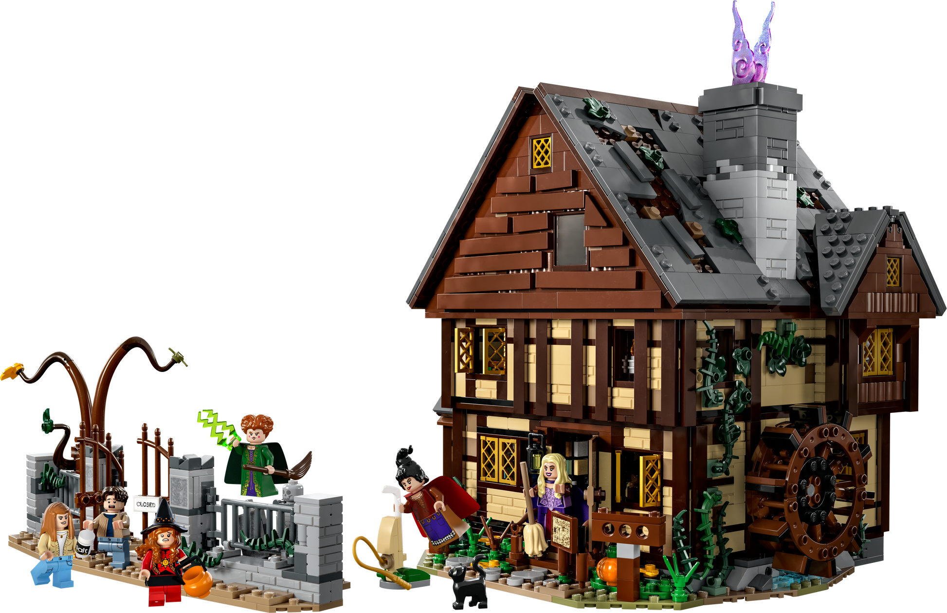 LEGO® set 21341 product image