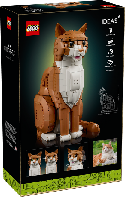 Orange Cat