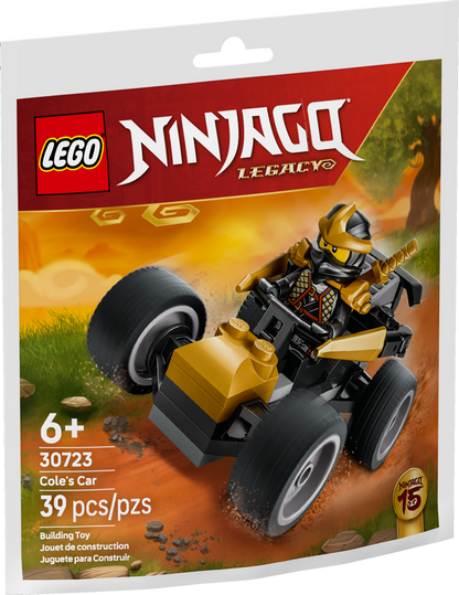 Ninja Cole's Car