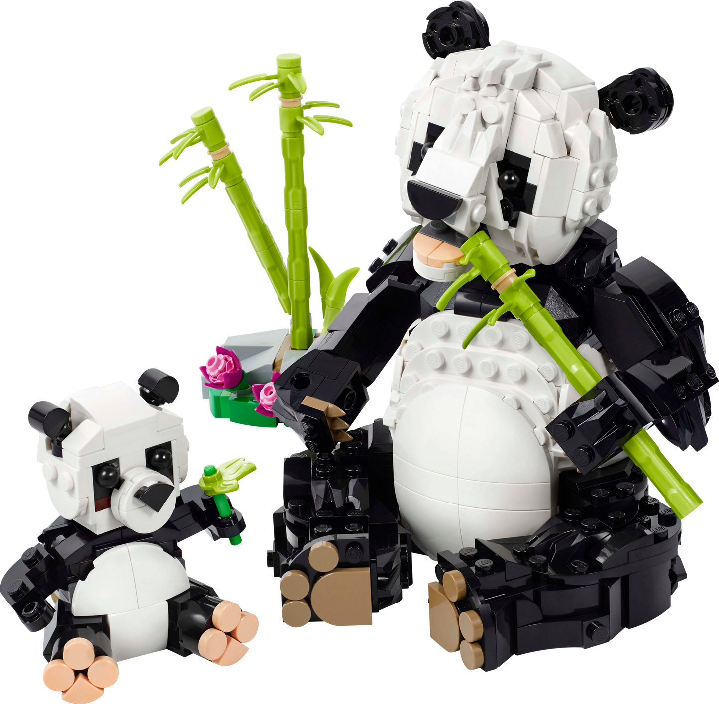 Panda Family
