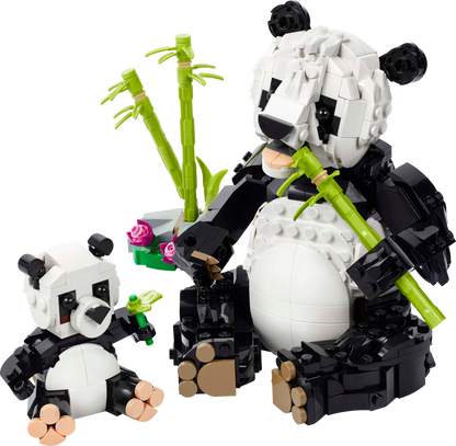 Panda Family