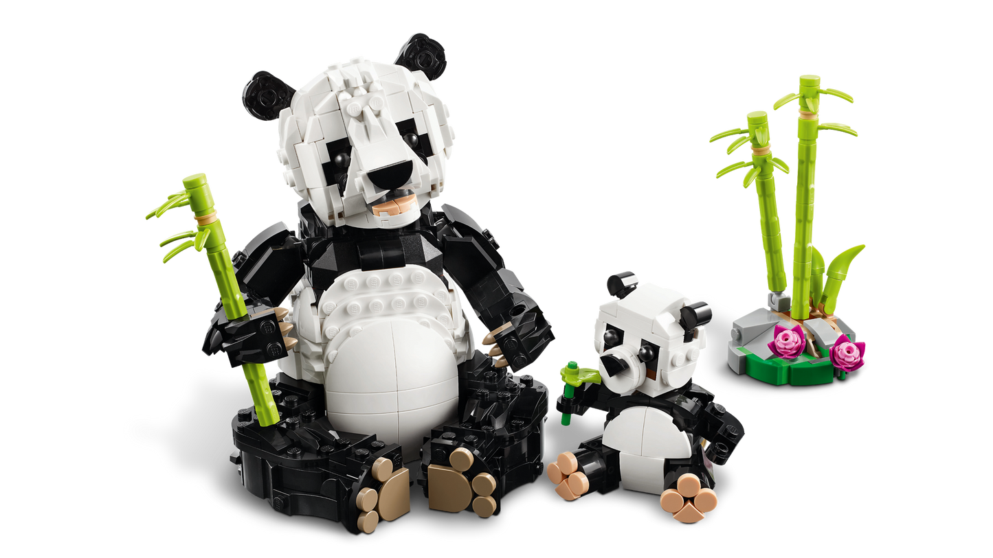 Panda Family