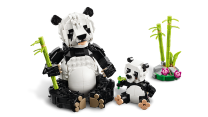 Panda Family
