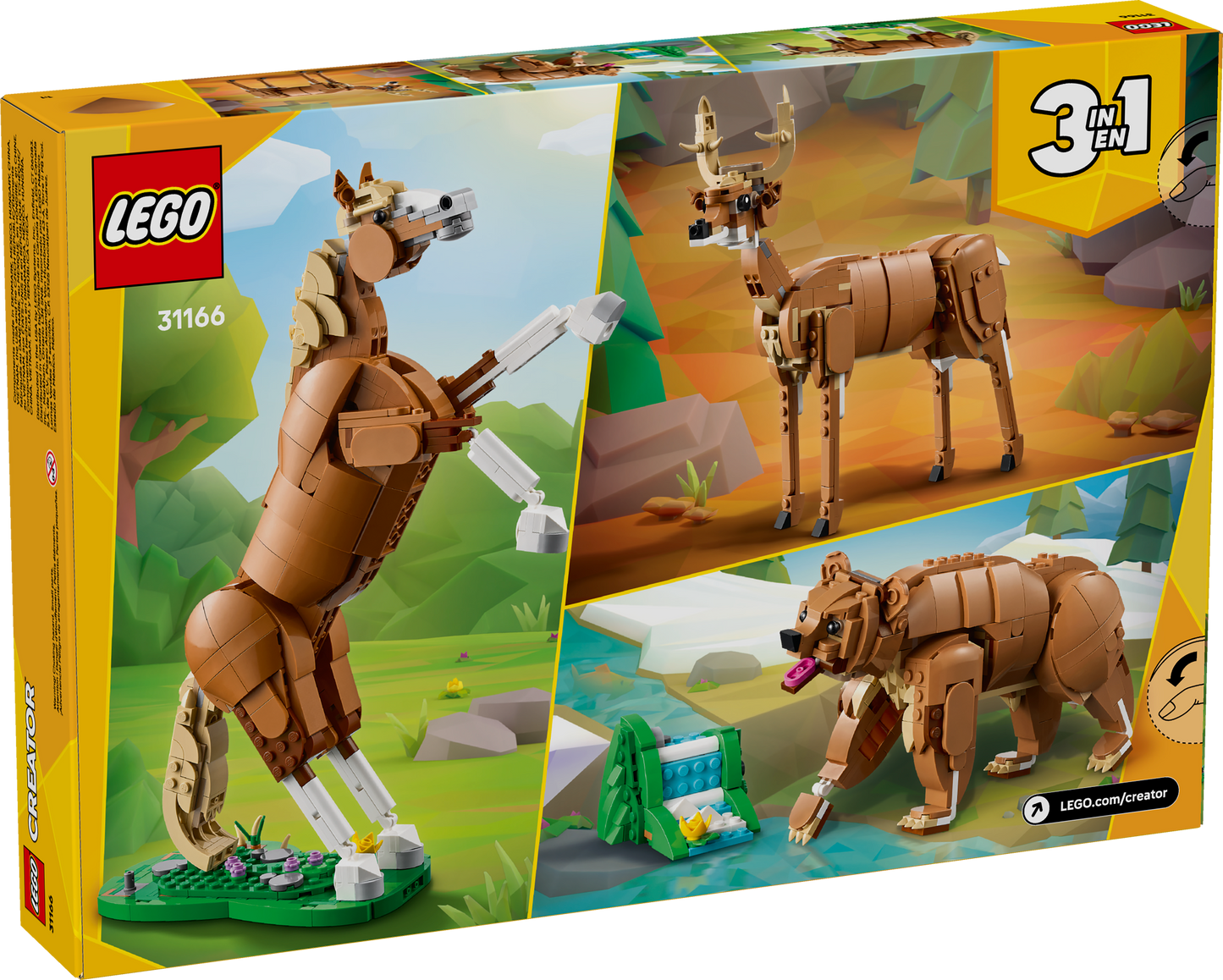 Beautiful Horse