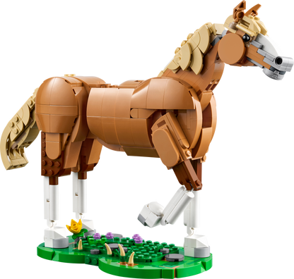 Beautiful Horse