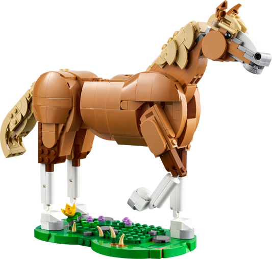 Beautiful Horse