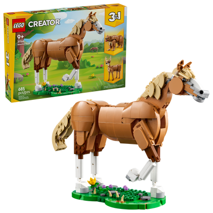 Beautiful Horse