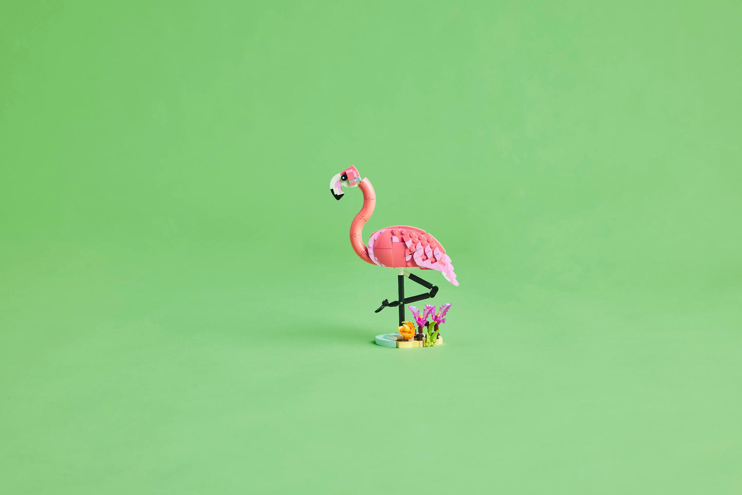 Pink Flamingo