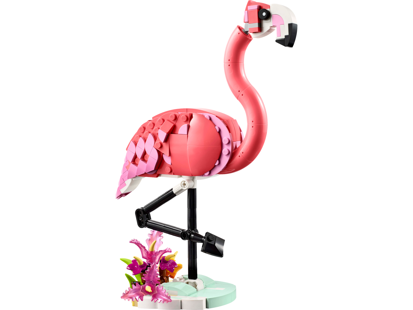 Pink Flamingo