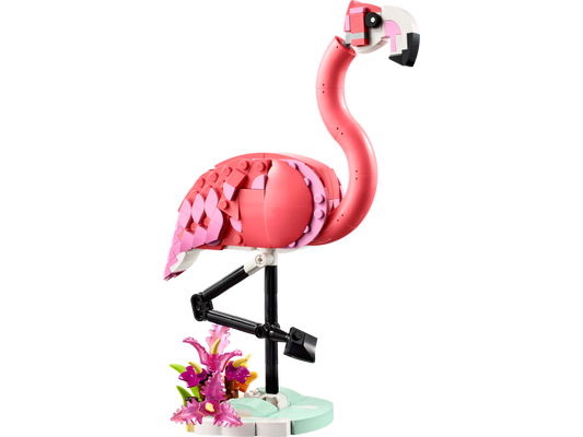Pink Flamingo