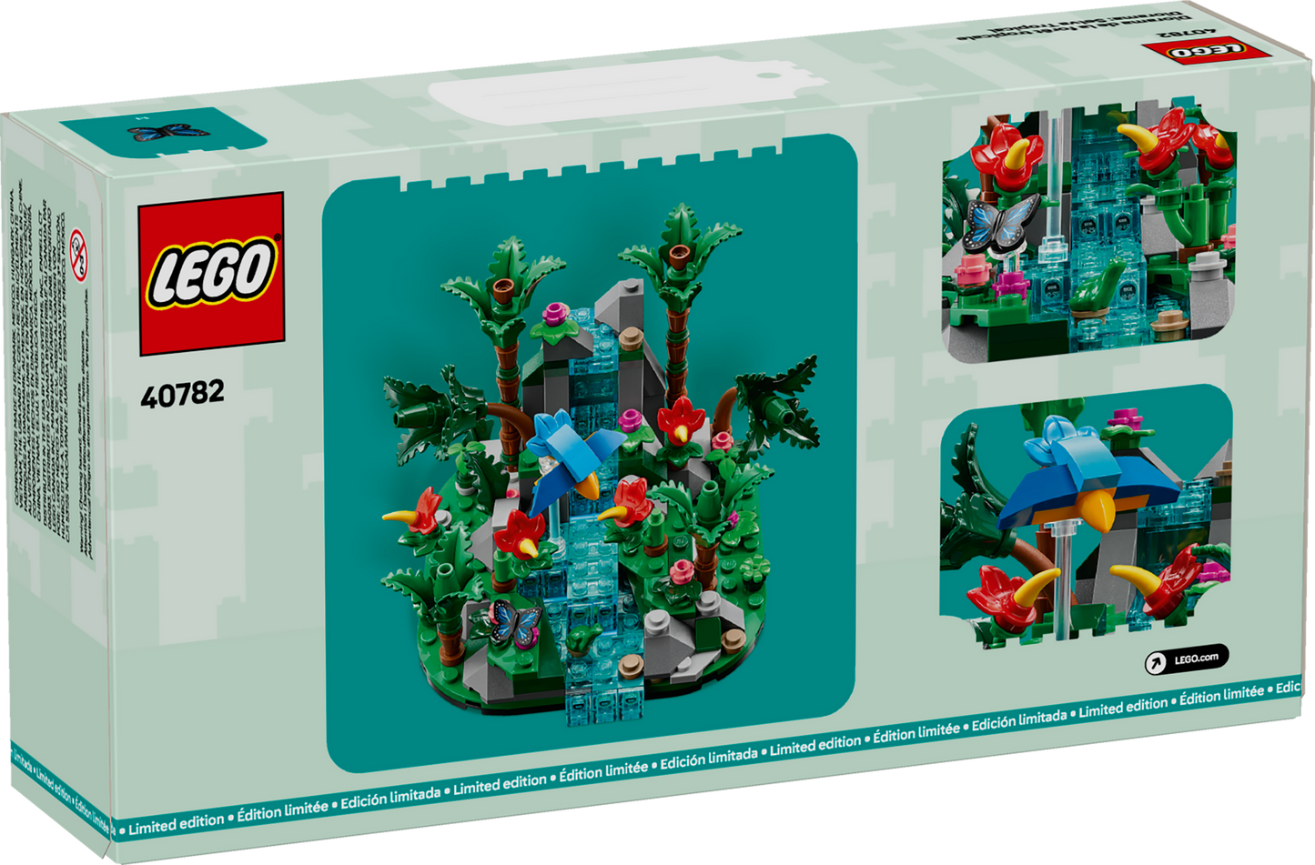 Tropical Rainforest Diorama