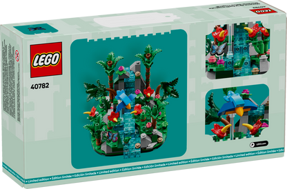 Tropical Rainforest Diorama