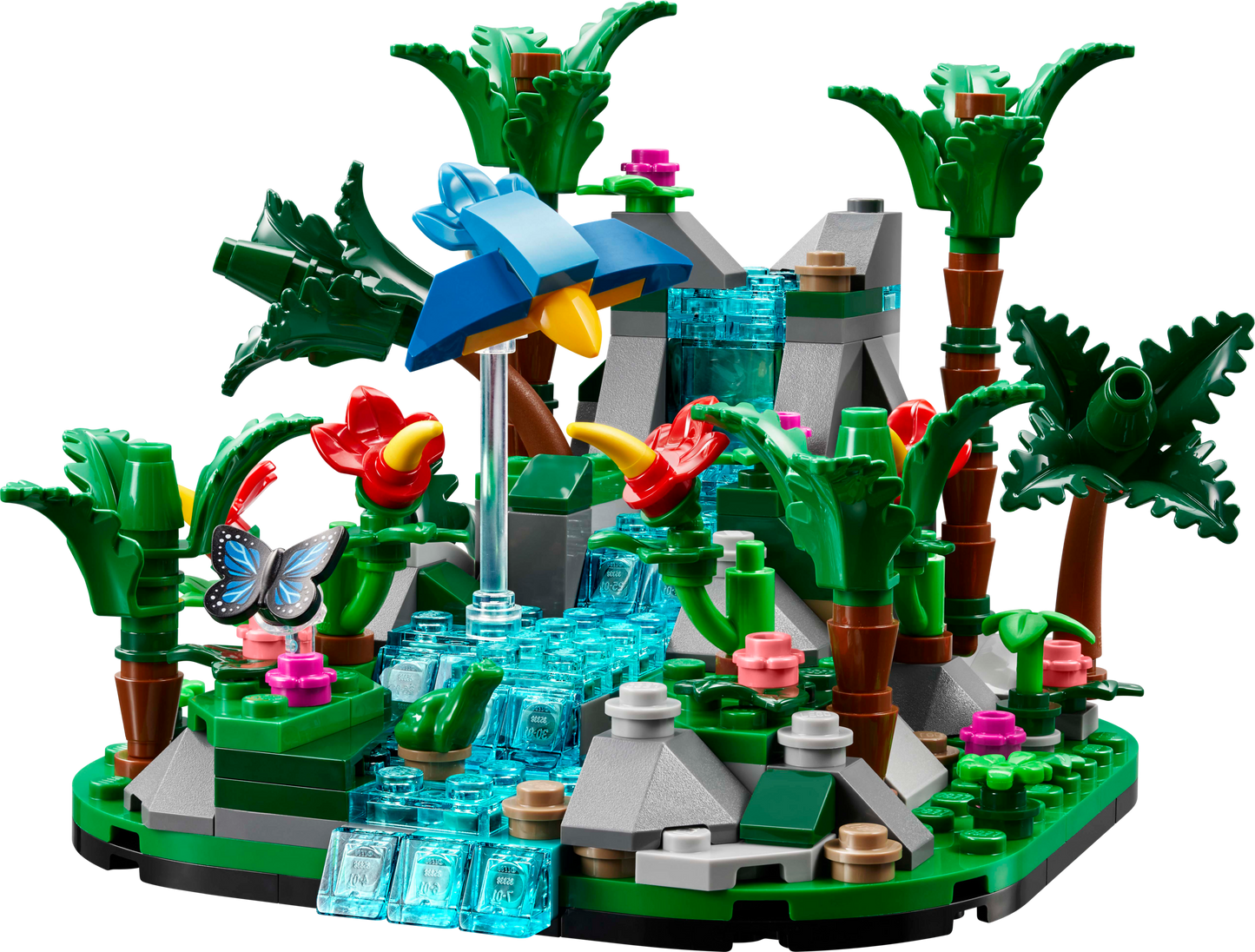 Tropical Rainforest Diorama